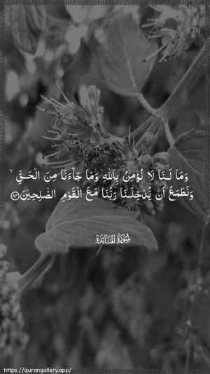 Al-Maaida Ayah 84 - Arabic wallpaper