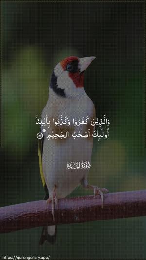 Al-Maaida Ayah 86 - Arabic wallpaper
