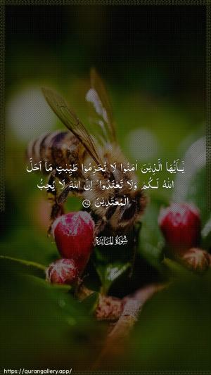 Al-Maaida Ayah 87 - Arabic wallpaper