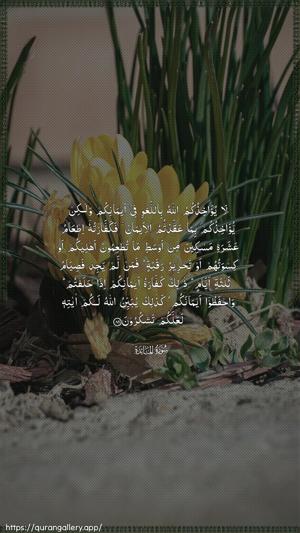 Al-Maaida Ayah 89 - Arabic wallpaper
