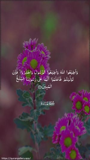 Al-Maaida Ayah 92 - Arabic wallpaper