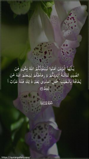 Al-Maaida Ayah 94 - Arabic wallpaper