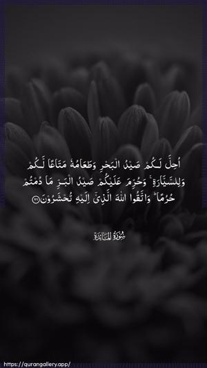 Al-Maaida Ayah 96 - Arabic wallpaper