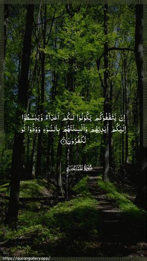 Al-Mumtahana Ayah 2 - Arabic wallpaper