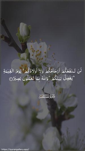 Al-Mumtahana Ayah 3 - Arabic wallpaper