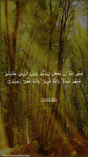 Al-Mumtahana Ayah 7 - Arabic wallpaper