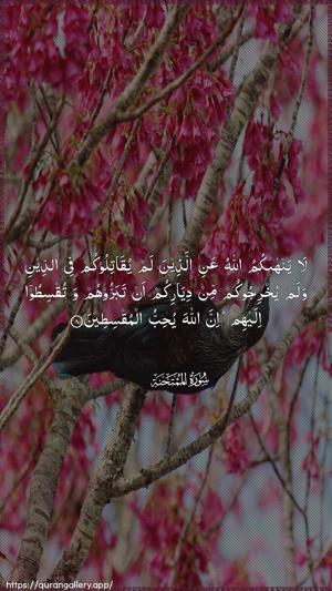 Al-Mumtahana Ayah 8 - Arabic wallpaper