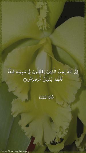 As-Saff Ayah 4 - Arabic wallpaper