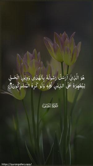 As-Saff Ayah 9 - Arabic wallpaper