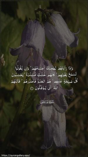 Al-Munaafiqoon Ayah 4 - Arabic wallpaper