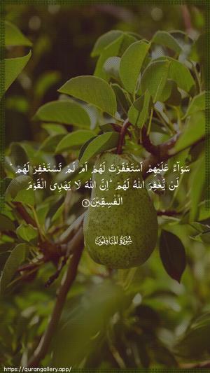 Al-Munaafiqoon Ayah 6 - Arabic wallpaper