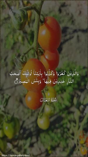 At-Taghaabun Ayah 10 - Arabic wallpaper