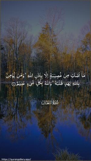 At-Taghaabun Ayah 11 - Arabic wallpaper