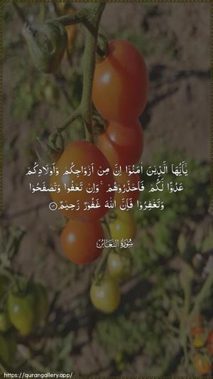 At-Taghaabun Ayah 14 - Arabic wallpaper