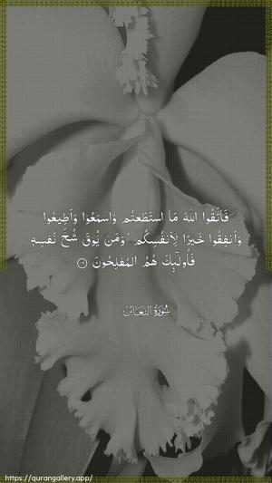 At-Taghaabun Ayah 16 - Arabic wallpaper