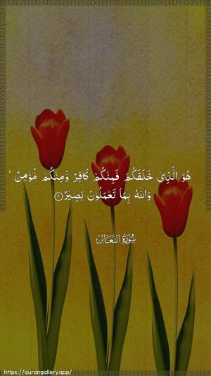 At-Taghaabun Ayah 2 - Arabic wallpaper