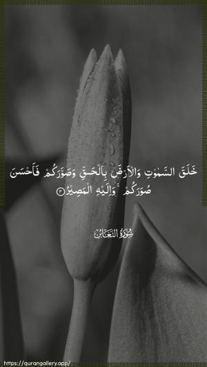 At-Taghaabun Ayah 3 - Arabic wallpaper