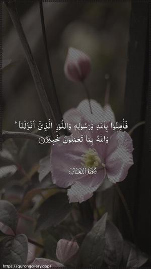 At-Taghaabun Ayah 8 - Arabic wallpaper