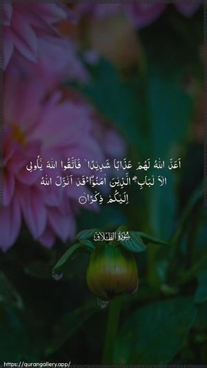 At-Talaaq Ayah 10 - Arabic wallpaper