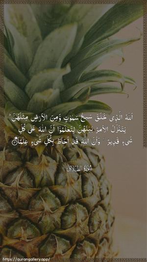 At-Talaaq Ayah 12 - Arabic wallpaper