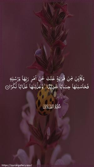 At-Talaaq Ayah 8 - Arabic wallpaper