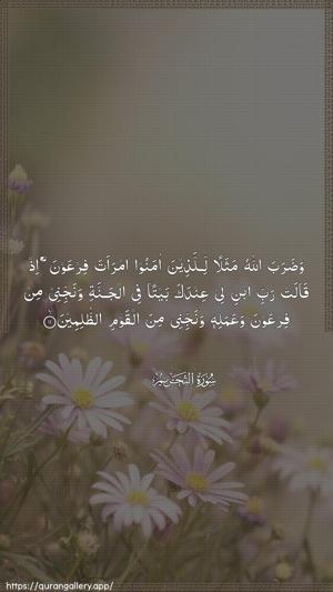 At-Tahrim Ayah 11 - Arabic wallpaper