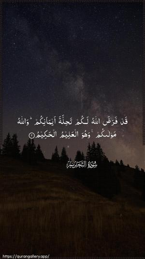 At-Tahrim Ayah 2 - Arabic wallpaper