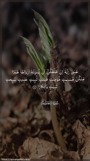 At-Tahrim Ayah 5 - Arabic wallpaper