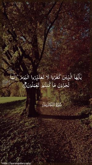 At-Tahrim Ayah 7 - Arabic wallpaper