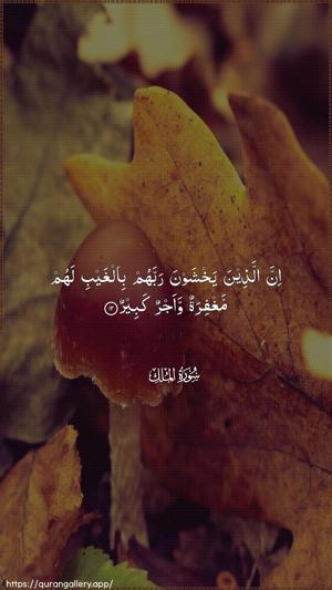 Al-Mulk Ayah 12 - Arabic wallpaper