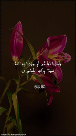 Al-Mulk Ayah 13 - Arabic wallpaper