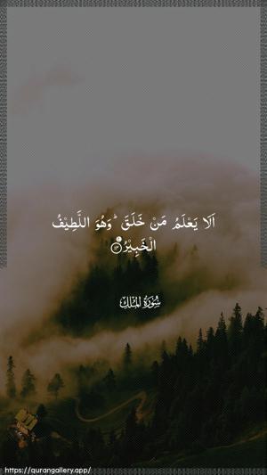 Al-Mulk Ayah 14 - Arabic wallpaper