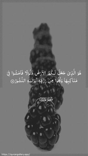Al-Mulk Ayah 15 - Arabic wallpaper
