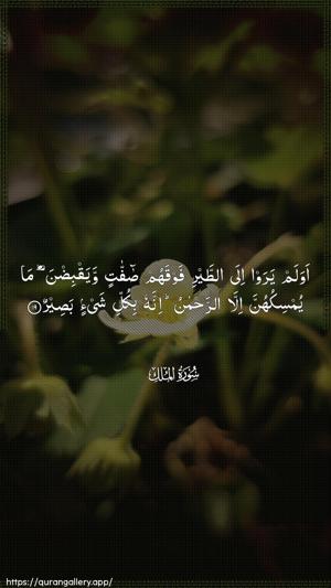 Al-Mulk Ayah 19 - Arabic wallpaper