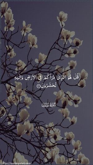 Al-Mulk Ayah 24 - Arabic wallpaper