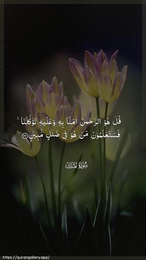 Al-Mulk Ayah 29 - Arabic wallpaper