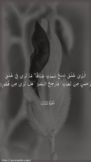 Al-Mulk Ayah 3 - Arabic wallpaper