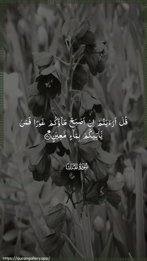 Al-Mulk Ayah 30 - Arabic wallpaper