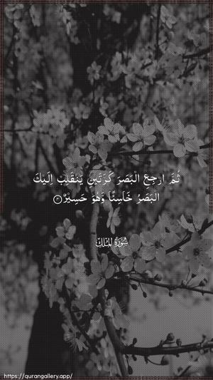 Al-Mulk Ayah 4 - Arabic wallpaper