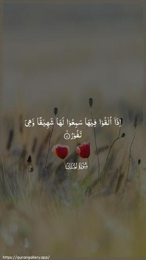 Al-Mulk Ayah 7 - Arabic wallpaper