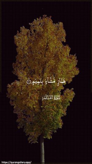 Al-Qalam Ayah 11 - Arabic wallpaper