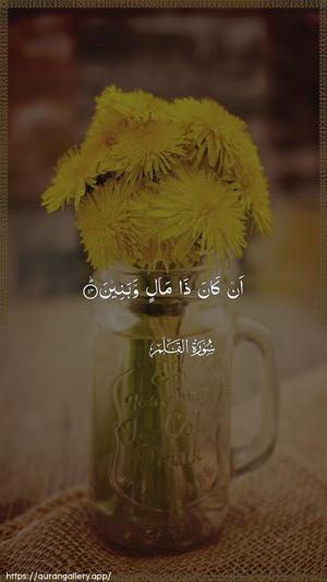 Al-Qalam Ayah 14 - Arabic wallpaper