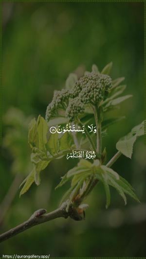 Al-Qalam Ayah 18 - Arabic wallpaper