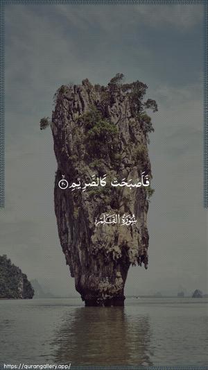Al-Qalam Ayah 20 - Arabic wallpaper
