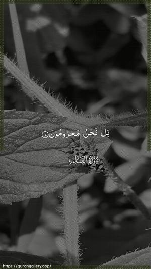 Al-Qalam Ayah 27 - Arabic wallpaper