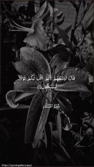 Al-Qalam Ayah 28 - Arabic wallpaper