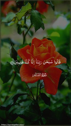 Al-Qalam Ayah 29 - Arabic wallpaper