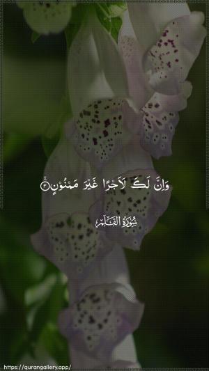 Al-Qalam Ayah 3 - Arabic wallpaper