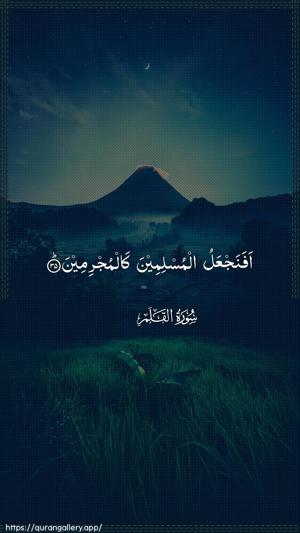 Al-Qalam Ayah 35 - Arabic wallpaper