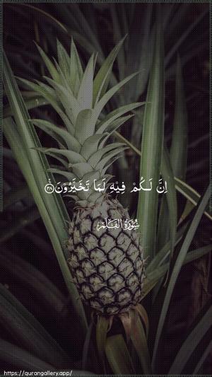 Al-Qalam Ayah 38 - Arabic wallpaper
